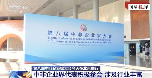 國際銳評丨新起點 中非經貿如何實現更高質量的“雙向奔赴”